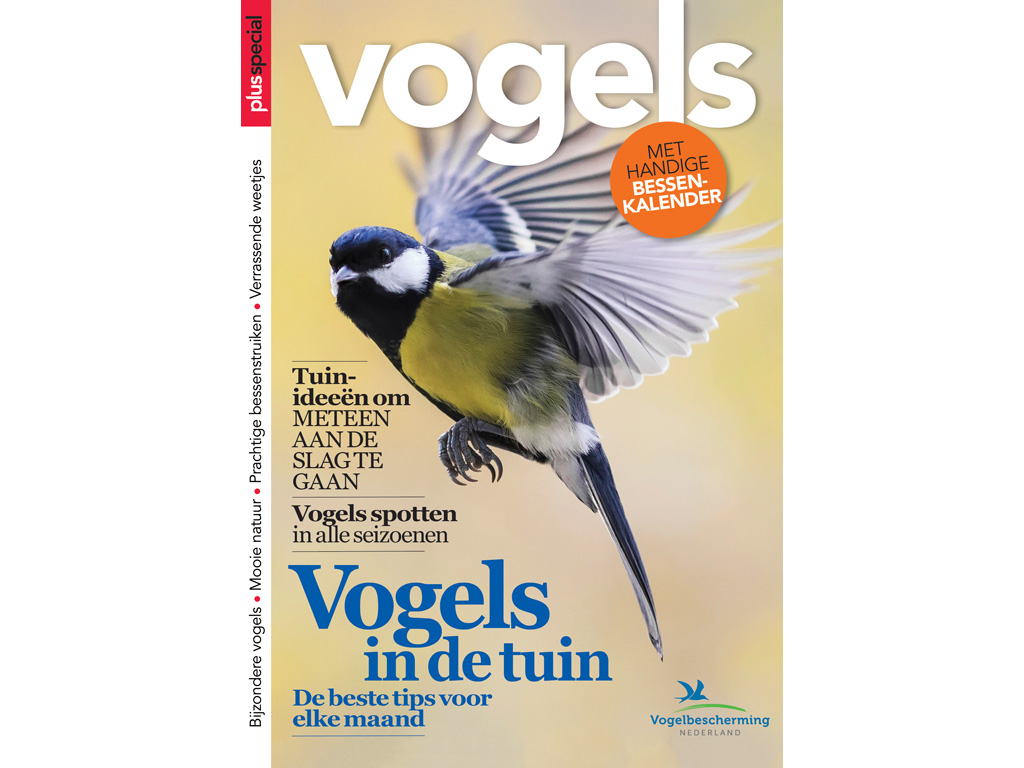 https://voordeel.plusonline.nl/wp-content/uploads/2021/10/Vogels-in-de-tuin.jpg